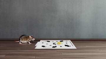 СИЛЬНАЯ ПРИМАНКА ДЛЯ КРЫС И МЫШЕЙ, БЕЗ ЛОВУШЕК ДЛЯ ВРЕДИТЕЛЕЙ, 100 Г