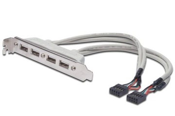 Kabel na śledziu USB 2.0 HighSpeed Typ 2xIDC 5pin/4xUSB A M/Ż szary 0,25m