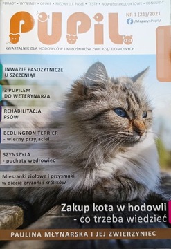 MAGAZYN PUPIL nr 1 (21) 2021 Zakup kota w hodowli