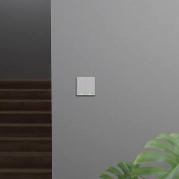 Умный переключатель Tesla Switch Dual ZigBee