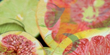 JFenzi Savoir Freshness EDP 100 мл /Versac Verse..