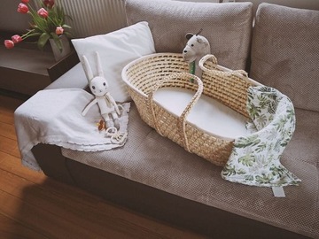 Корзина Моисей с матрасом для кроватки Baby Ahoy