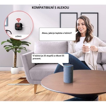 ThermoPro Smart Wi-Fi TP-90 термометр и гигрометр