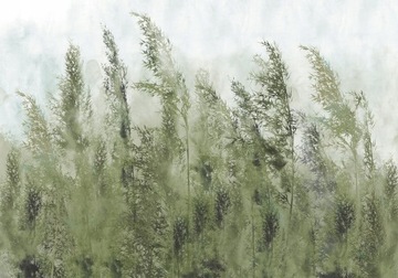 FOTOTAPETA PREMIUM NATURA TRAWA MGŁA ZIELEŃ BOHO ŁĄKA DO SALONU 3D 400x280