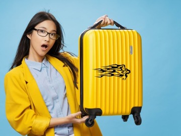 Автомобильная наклейка на шлем TIGER LION FLAMES 10 x 23,1 см