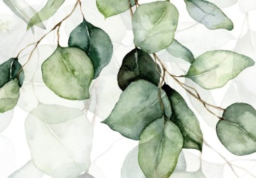 ФОТОобои ЛИСТЬЯ ПРИРОДА 350x256 b-C-0876-a-a