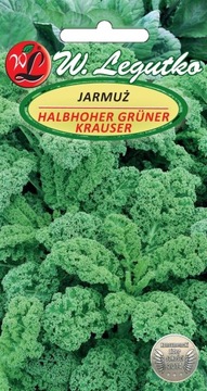 Jarmuż Halbhoher gruner krauser 1g