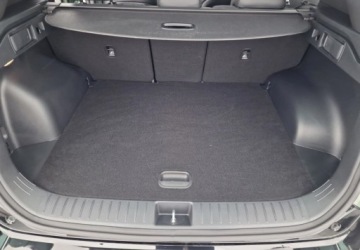 Kia Sportage V SUV 1.6 T-GDI 160KM 2024 Kia Sportage 1.6 T-GDI Anniversary 2WD DCT 1.6 Benzyna 160KM, zdjęcie 16