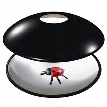3D Mirascope Instant Maker Hologram Image