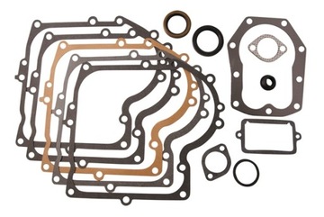 ZESTAW USZCZELEK USZCZELKI BRIGGS B&S 12,5 hp