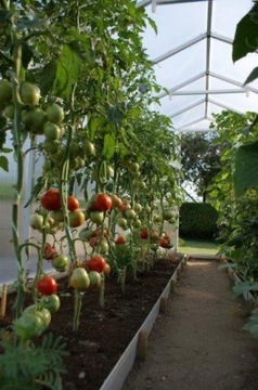 ТЕПЛИЦА ИЗ ПОЛИКАРБОНАТА 8,5 м 210x405 ПРОЧНАЯ ПОЛЬСКАЯ СТАЛЬ ПВХ