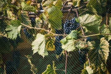 Сетка защитная от птиц для скворцов, БОЛЬШАЯ, 8х14м