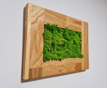 Obraz mech Chrobotek Rama Dębowa Obraz z mchu