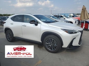 Lexus NX II 2024