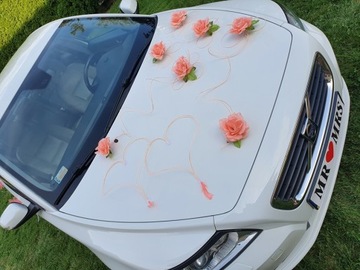 Живописное украшение автомобиля Украшение автомобиля ПЕРО