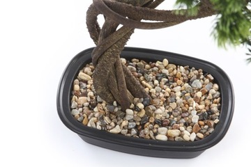 Дерево BONSAI PINE 70, искусственный изогнутый ствол, сосна бонсай в японском стиле.