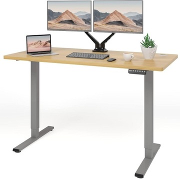 FLEXISPOT Biurko Z Regulacją Wysokości Elektryczne E1+ 140*80 Szary+klonowy
