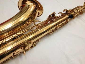 ТЕНОР-САКСОФОН EVER PLAY ST-600