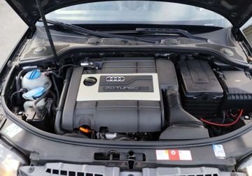 Audi A3 8P 2007 Audi S3 Audi S3 2.0T FSI Quattro 2.0 Benzyna 265KM, zdjęcie 23