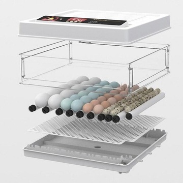 Automatyczny inkubator jaj. Automatyczny inkubator jaj 24Eggs