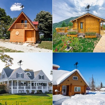 Флюгер Ферма Флюгер Witch's Kalt