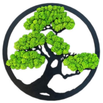 DRZEWKO Z CHROBOTKIEM DEKORACJA Z MCHU 50 cm