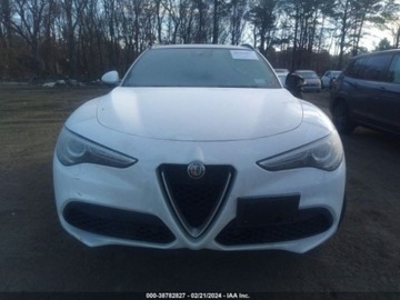Alfa Romeo Stelvio SUV Facelifting 2.0 Turbo 280KM 2022 Alfa Romeo Stelvio 2022r., 4x4, 2.0L, zdjęcie 6