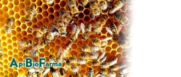 АпиБиоФарма 1л пробиотик с травами для пчел