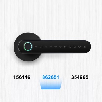 КОМБИНИРОВАННАЯ РУЧКА, ЭЛЕКТРОННЫЙ ДВЕРНОЙ ЗАМОК с Bluetooth