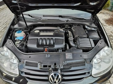 Volkswagen Golf V Hatchback 1.6 i 102KM 2008 Volkswagen Golf 1.6MPI 102KM Klimatronic Tempomat, zdjęcie 20