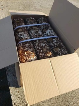 Отвердитель для тюков мицелия шиитаке польский 22кг 12 шт.