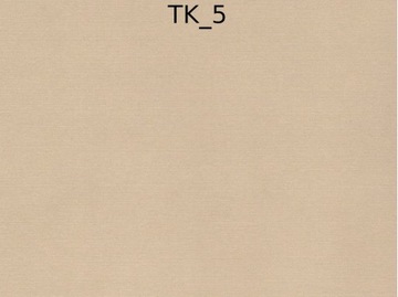 Рулонная штора TERMO для мансардного окна FAKRO 55x78