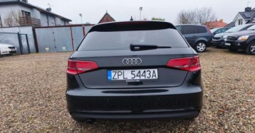 Audi A3 8V Cabriolet 1.6 TDI clean diesel 110KM 2016 Audi A3 Sportback Audi A3 Sportback 1.6 TDI 1.6 Diesel 110KM, zdjęcie 8