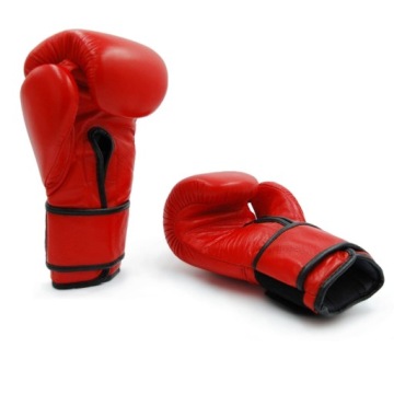 Боксерские перчатки Evolution Pro++ 14 унций