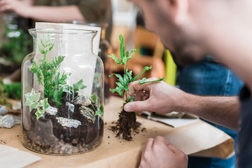 ЛЕС В СТЕКЛЯННОЙ БАНКЕ СТАРТОВЫЙ НАБОР ПОДСУБТРАТА 10 шт.