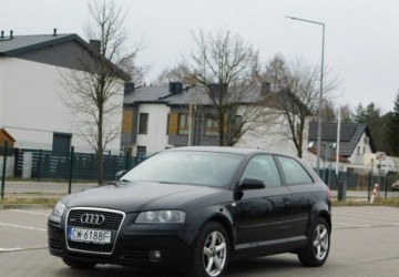 Audi A3 8P Hatchback 3d 2.0 TDI PD 170KM 2007 Audi A3 3-drzwiowe 2.0TDi Quattro Podgrzewane Fotele 2.0 Diesel 170KM, zdjęcie 20