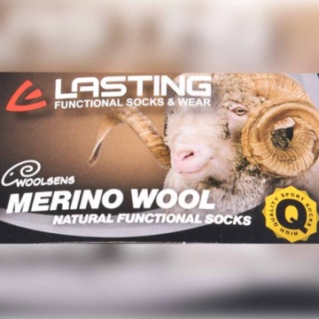 Трекинговые носки Lasting WAS из 85% мериносовой шерсти — желтые (640) M (38-41)
