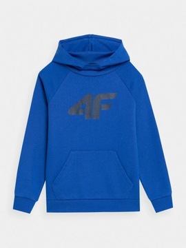 СВИТШОТ С КАПЮШОНОМ 4F ДЛЯ МАЛЬЧИКОВ 4F AW23M626