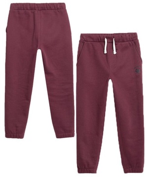 ДЕТСКИЕ СПОРТИВНЫЕ БРЮКИ 4F ДЛЯ МАЛЬЧИКОВ, ХЛОПОК AW23M419