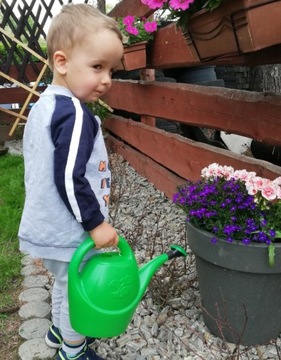 тачка, грабли, лопатка детская, большая тачка