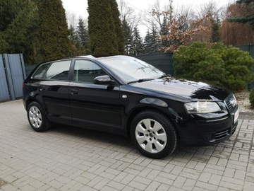 Audi A3 8P Hatchback 3d 1.9 TDI 105KM 2005 Audi A3 Sportback 1.9 TDI 105KM Klimatronik, zdjęcie 3