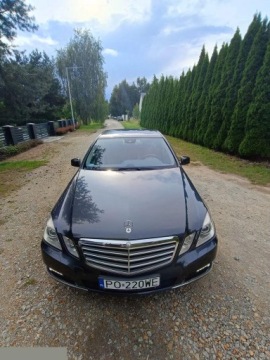 Mercedes Klasa E W212 Limuzyna 250 CDI BlueEFFICIENCY 204KM 2009 Mercedes Klasa E 250 CDI 204KM 2009r, zdjęcie 14