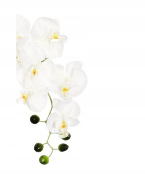 ИСКУССТВЕННЫЕ ОРХИДЕИ ОРХИДЕИ Цветочная ОРХИДЕЯ