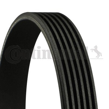CONTINENTAL CTAM PASEK WIELOROWK. 6PK1218 XF