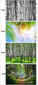 Фотообои на заказ лес в тумане, деревья, природа