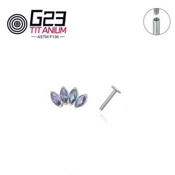 Пирсинг внутренней части грудной клетки, модная радость, GEMA, Лабрет, Монро,