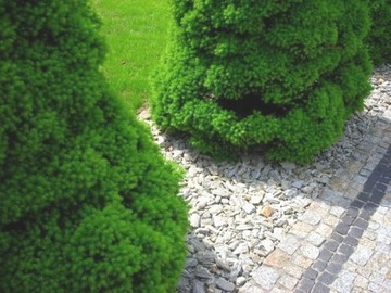 ГРЫСЬ СИЕНИТ ГРАНОДИОРИТ ЧЕРНО-БЕЛЫЙ 16-22ММ 20КГ