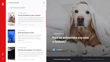 Публикация статьи в рубрике Животные и природа