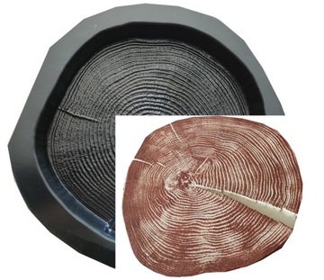 Forma do betonu pień drzewa przekrój plaster 22cm