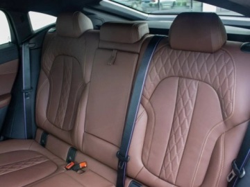 BMW X6 G06 SUV Facelifting 3.0 30d 298KM 2025 BMW X6 xDrive30d Sport Suv 3.0 (298KM) 2025, zdjęcie 12